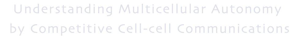 Understanding multicellular autonomy by competitive cell-cell communications
